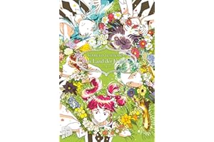 Das Land der Juwelen 4