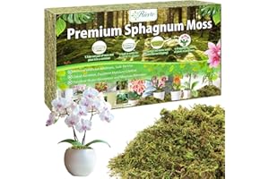 Riare 100g Natural Dried Plant Moss for Potted Plants, Artificial Fake Moss for Repotting, Soft Green Decorative Moss for Succulents, Reptiles & DIY Crafts