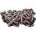 Yorkshire Worms DENDROBAENA worms Pack - Suitable for Composting, Wormery Starter Packs