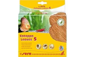 sera Catappa Leaves S 10 – 15 cm (10 Unidades) – Hojas de almendras Marinas para el Tratamiento Natural del Agua