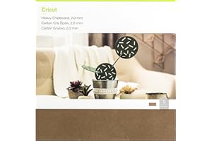 Cricut papier et papier cartonné – 30,5 x 30,5 cm Shimmer papier Sampler – Classique