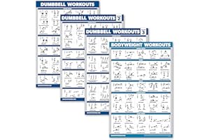 Palace Learning 4 Pack - Dumbbell Workout Posters Volume 1, 2 & 3 + Bodyweight Exercise Chart - Set of 4 Posters (LAMINATED, 18" x 24")