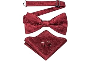 JEMYGINS Papillon Uomo Paisley Design Regolabile in Diversi Colori con Fazzoletto e Gemelli