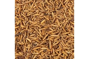 HUNGRY WINGS Premium Dried Calciworms, 5L Bag