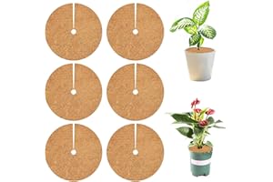 LOEPENLE 6 PCS Disco di Cocco,Ø 30cm Disco in Fibra di Cocco,Piante Fibre Cocco Pacciamatura,Protezione Invernale per Piante in Vaso,Copertura Invernale per Piante in Vaso,Antigelo Pacciamatura Cocco