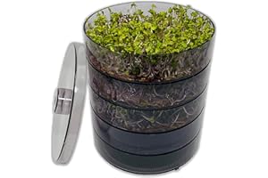 ‎SAATPUR SaatPur® Keimsprossenbox Set 4 mit Vier Etagen als Sprossen Keimgerät: Sprossen Anzucht sowie Microgreens Anzuchtschalen. Keimbox, Keimschale, Keimschachtel, Sprossenbox, Sprossenhaus, Keimgerät