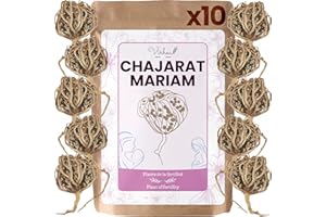 VIRHEA Rose de Jericho Chajarat Mariam x10 - Taille S (Petit) - Plante Favorisant la Fertilité [Satisfait ou Remboursé]