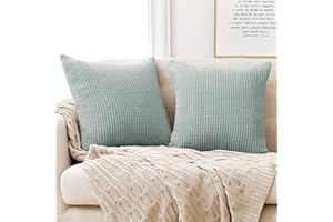 Deconovo Kissenbezüge Kordsamt Dekorative Kissenbezug 45x45 Kissenhülle Dekokissen Wohnzimmer Sofakissenbezüge Couchkissen Kord Sofakissen für Sofa Couch Büro Schlafzimmer, 45x45 cm, Hellgrün, 2er Set