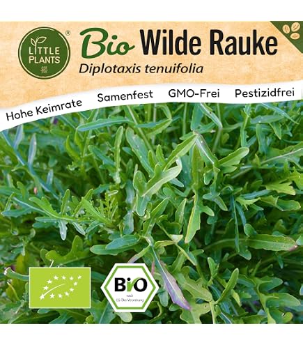 Rucola 'Esmee' Bio-Samen - Garten-Senfrauke, Ca. 1000 Samenfeste Samen Für Pizza, Pasta & Salat