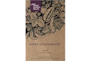 MAGIC GARDEN SEEDS Dynia 'Golden Nugget' (Cucurbita maxima) - ok. 7-pestkowa odmiana dyni z USA, o zwartym wzroście.