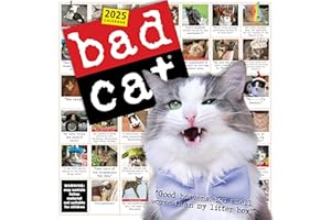 WORKMAN PUBLISHING Bad Cat Wall Calendar 2025: Celebrating the Misfits of the Feline World