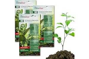 floraline® | 150x Grünpflanzen - Düngestäbchen | pro Stäbchen: Dünger für bis zu 100 Tage prächtige Blumen mit Wachstum und gesundem Aussehen pro Stäbchen | Sehr schonende & kinderleichte Anwendung