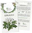 Bärlauch Samen: Premium Bärlauch Saatgut für die Anzucht von ca. 30 Bärlauch Pflanzen im Garten – Wildkräuter Samen – Kräuter Samen Bärlauch – Kräuter Saatgut – Gartenkräuter Pflanzen von OwnGrown