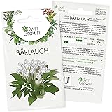 Bärlauch Samen: Premium Bärlauch Saatgut für die Anzucht von ca. 30 Bärlauch Pflanzen im Garten – Wildkräuter Samen – Kräuter