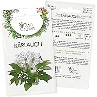 Bärlauch Samen: Premium Bärlauch Saatgut für die Anzucht von ca. 30 Bärlauch Pflanzen im Garten – Wildkräuter Samen…