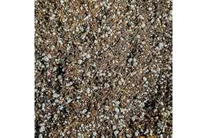 BHOMESCENT Premium Succulent & Cacti Potting Mix with Activated Biochar – Free-Draining Soil for Indoor & Outdoor Cactus & Succulent Plants (1L)