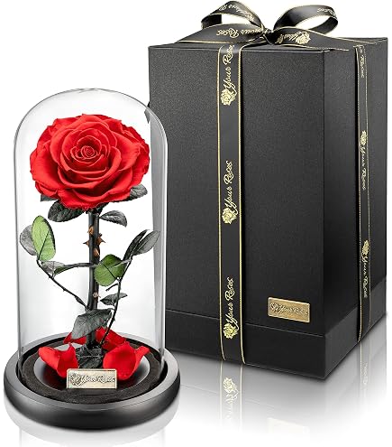 Rose Éternelle Sous Cloche TWBEST - Belle Et La Bête, Avec LED Et Carte, Décoration Romantique, Cadeau Pour Femme (Anniversaire, Saint-Valentin, Fête Des Mères)