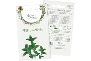 Pfefferminze Samen: Premium Kräuter Samen zum Anbau von ca. 300 Pfefferminze Pflanzen – Mehrjährige Minze Samen – Kräuter Pflanzen für Garten und Balkon – Samen Kräuter – Beste OwnGrown Kräuter Saat