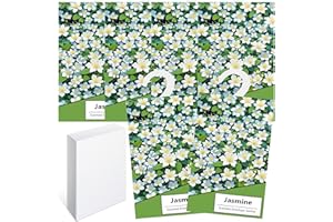 GOPERFUMME 6pcs Wäscheduft Schrank Duftsäckchen Kleiderschrank Dufterfrischer, Schrankduft Frische, Duftbeutel Kleiderschrank Duft Hanging Beutel, Schrankdeo Natürlichen Geruch Sachet (6Jasmin)