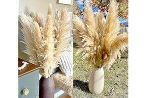 BANNIFLL 20 Stück Pampas Grass groß, Pampas Grass XXL, Pampas Grass Deko Gross für Boho DekoWohnzimmer Tisch Schlafzimmer Hochzeits Badezimmer(100cm)