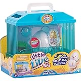 little live pets egg