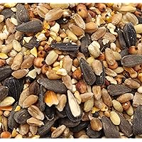 25kg FutterXL Streufutter/Winterstreufutter für Vögel