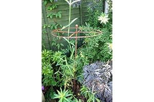 GAP GARDEN PRODUCTS Metal Rust Simple Circle Plant Support (pack of 8) Ideal plant support for dahlias, delphiniums etc.