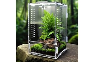 GTSEEMUU Faunarium, Insektenterrarium, Acryl-Terrarium, Allzweckbehälter für Reptilien, Amphibien, Sprungspinnen, Vogelspinnen, Schnecken, Frösche und Insekten, 20 x 12 x 11 cm