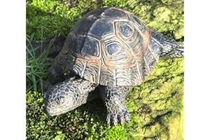 Animal Crackers Tortoise weatherproof resin garden ornament decoration pond lover gift