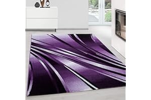 Teppium Tappeto Salotto a Pelo Corto Tappeto Soggiorno Viola 200x300 (200x290 cm) - Tappeto Camera de Letto Soffice e Morbido Moquette - Tappeti per Cucina Tappeto Sala Disegno Astratto