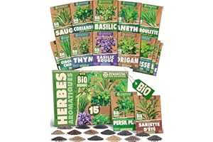 ZenGreens® - Kit de graines d'herbes aromatiques bio - 15 variétés pour une culture facile dans le jardin, sur le balcon ou dans une jardinière surélevée - Herbes aromatiques - Semences légumes