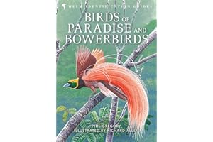 Birds of Paradise and Bowerbirds