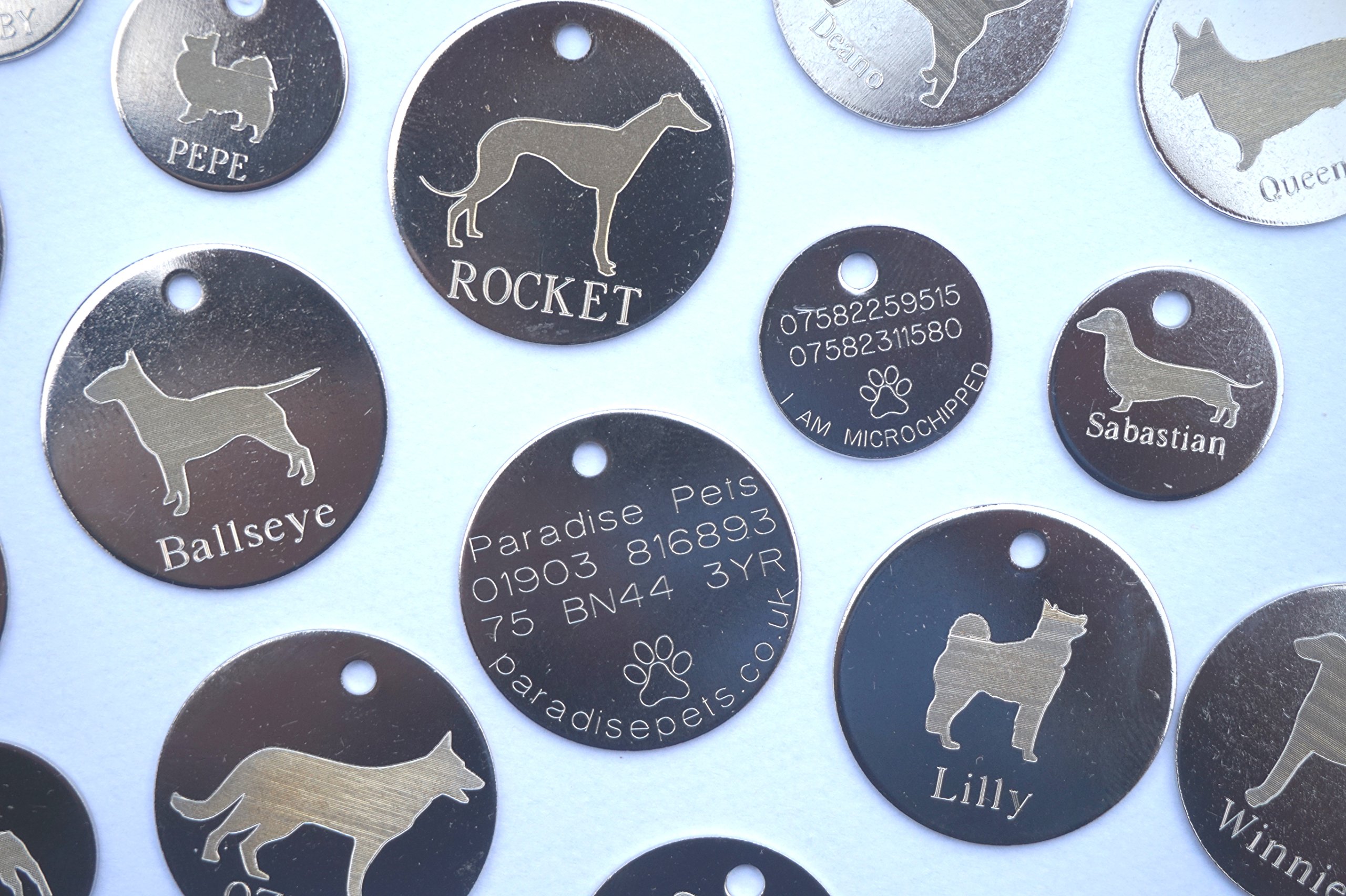 Paradise Pets Personalised Dog Pet Identity ID Tag Disc Engraved – tick gift message box to leave engraving details – dog breed – size (20,25.30,32mm) and colour/finish (Silver or Brass)