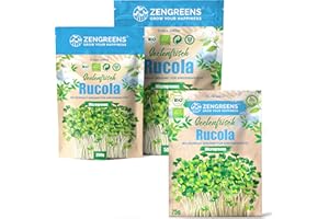 ZenGreens® - Bio Rucola Sprossen Samen - Wähle zwischen 10g, 200g und 500g- Rucola Bio Saatgut - Keimrate von über 95% - Salatrauke Sprossensamen zum Keimsprossen ziehen - Microgreens