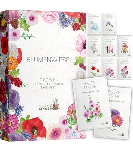 Bull & Bear Mini Pflanzset 'Duftende Almwiese' Blumen Samen, Tontpfchen  mit Blumensamen und Pflanzsubstrat : Amazon.de: Spielzeug