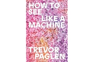 How to See Like a Machine: Images After AI