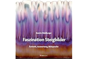 Faszination Steigbilder: Ästhetik, Auswertung, Bildsprache