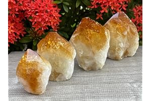 GAF TREASURES Standing Citrine Top Polished Rough Point, Deep Orange Citrine Crystal Point Cut Base, Money Stone, Success Stone (4-6 oz)