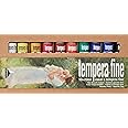 Maimeri Cato Box with 10 Tubes 20 ml Assorted Colours Fine Tempera Line