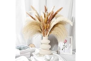 MIIEPLS Pampa Naturale, 50 pezzi Set di Erba di Pampa Essiccata Naturale, 10 Pampa Bianca+10 Pampa Marrone+15 Reed Grass+15 Bunny Tail Grass, Erba Della Pampas Decorative, Fiori Secchi per Home/Boho Decor