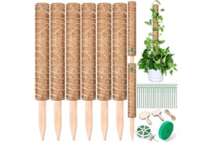 AQXONG 6 Piezas 40cm Estacas para Plantas de Palitos de Coco, Estacas para Plantas Trepadoras, Soporte para Plantas Monstera, Apilable Palo de Musgo, Estacas para Plantas de Fibra de Coco