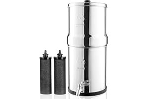 Phoenix Gravity Filtre à eau potable en acier inoxydable alimenté par gravité avec 2 cartouches de filtre à eau Phoenix et robinet en acier inoxydable