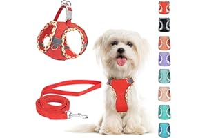 PERFFI Hundegeschirr Kleine Hunde mit Leine, kein Ziehen, verstellbar, reflektierendes, atmungsaktives Netzgewebe für extra kleine/kleine und mittelgroße Hunde, Katzen, Welpen (Rot, S)