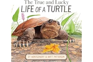 The True and Lucky Life of a Turtle