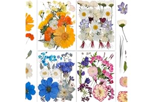 YoothBro 134 piezas de flores prensadas secas reales para moldes de resina, juego de flores de prensado en seco para la fabricación de joyas DIY, tarjetas de uñas, manualidades y decoraciones Twinkle