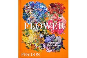 Flower: Exploring the world in bloom