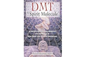 DMT: The Spirit Molecule: A Doctor's Revolutionary Research into the Biology of Near-Death and Mystical Experiences