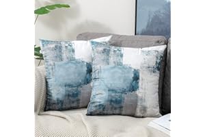 OYIMUA Zestaw 2 Poszewki na poduszki dekoracyjne 45x45 Abstrakcyjna sztuka Decor Cushion Covers 18x18 Velvet Blue Grey Poszewki na poduszki do ogrodu na zewnątrz Sofa Rustic