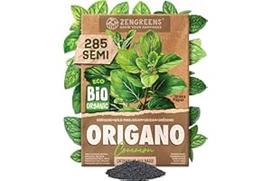 ZenGreens® Semi di origano biologico - Semi di erbe aromatiche per la coltivazione in giardino, sul balcone o in cucina - Ideali per i principianti