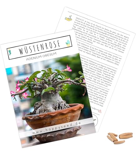 ikea pflanzen elefantenfuß Elefantenfuss | Beaucarnea recurvata